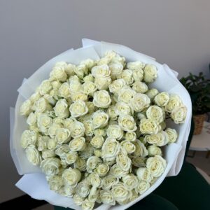 Spray Rose