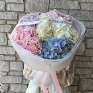 Pastel Dream